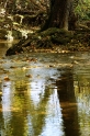 Sema stream, Conches Switzerland